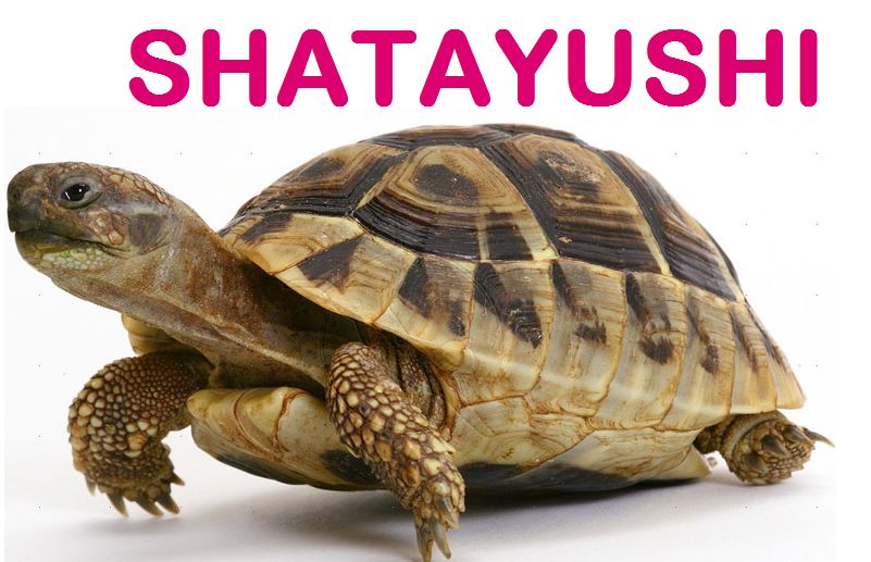 Shatayushi