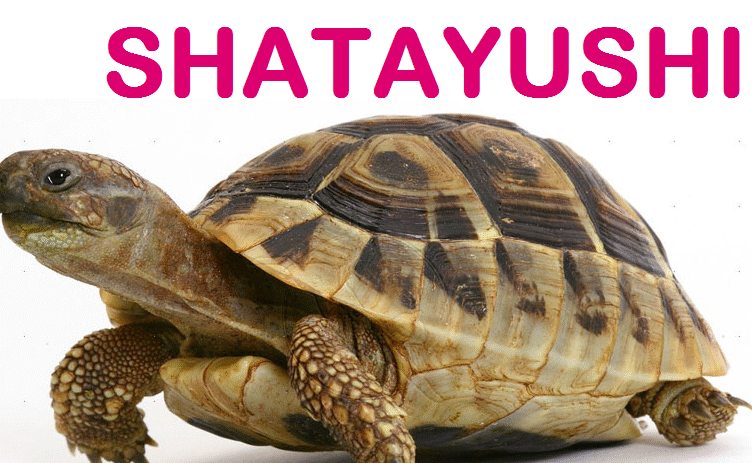 Shatayushi Healthcare